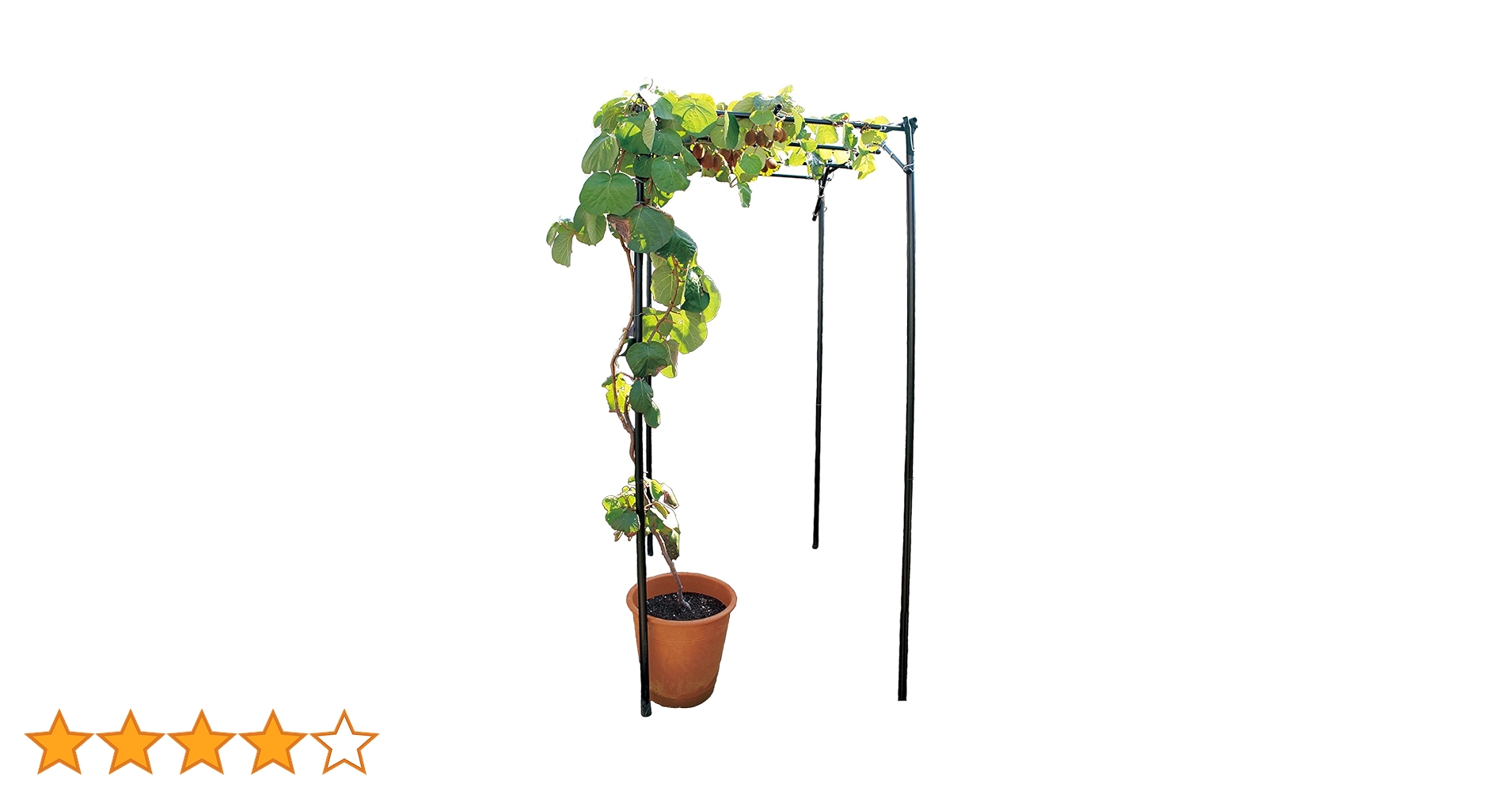 Amazon | daim パーゴラ 果物棚 セット 幅90cm 奥行120cm 高さ